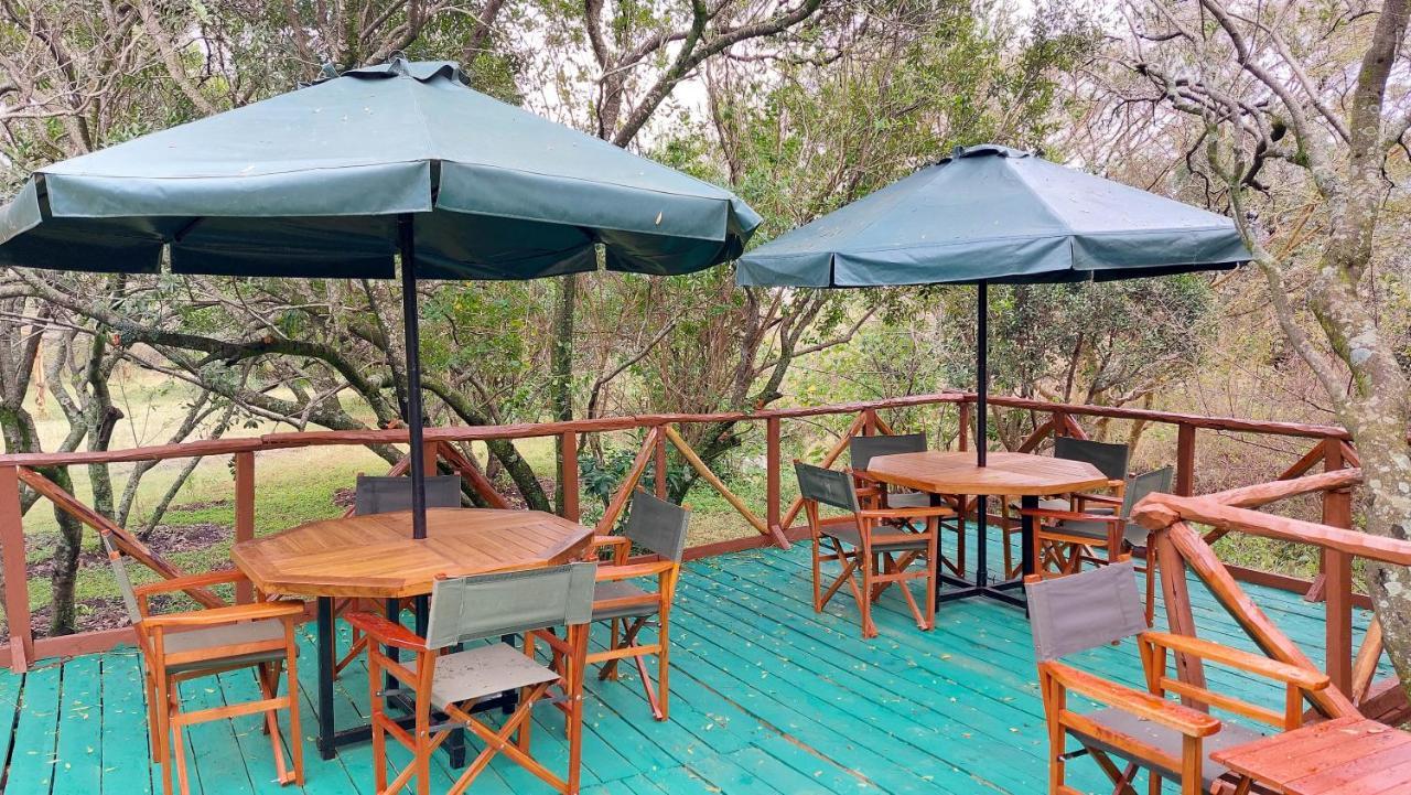Greenwood Safari Camp Talek エクステリア 写真