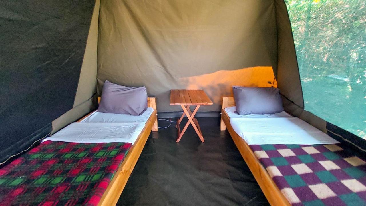 Greenwood Safari Camp Talek エクステリア 写真