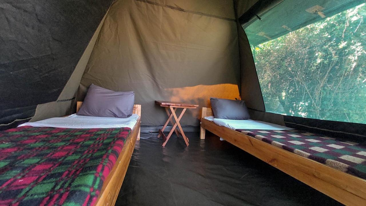 Greenwood Safari Camp Talek エクステリア 写真