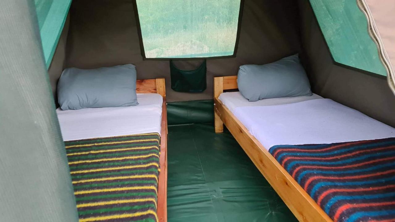 Greenwood Safari Camp Talek エクステリア 写真