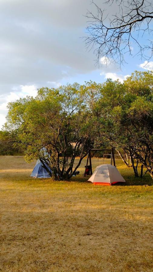 Greenwood Safari Camp Talek エクステリア 写真
