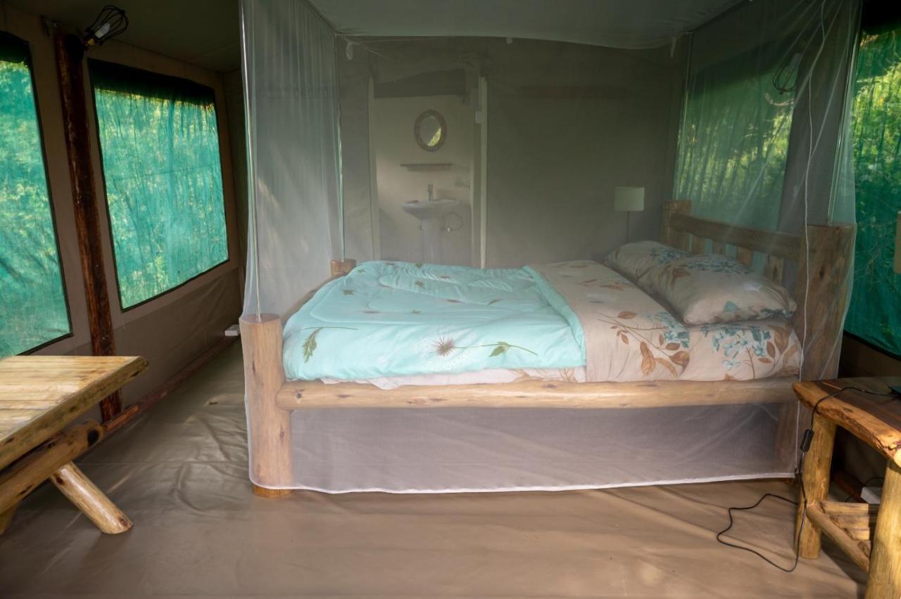 Greenwood Safari Camp Talek エクステリア 写真
