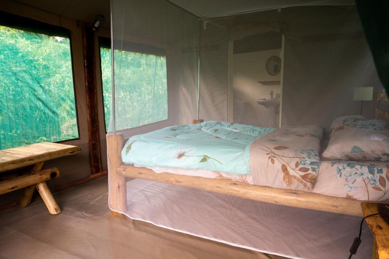 Greenwood Safari Camp Talek エクステリア 写真